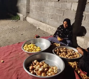 رویداد هم سفره در منوجان کرمان